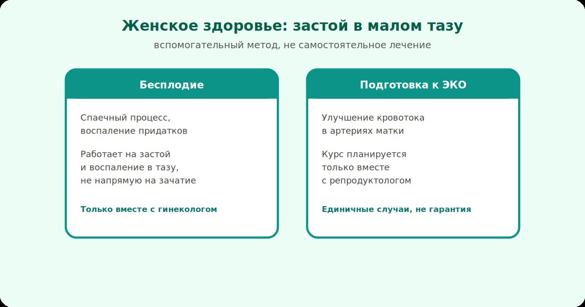 Женское здоровье: застойные процессы в малом тазу при бесплодии и подготовке к ЭКО
